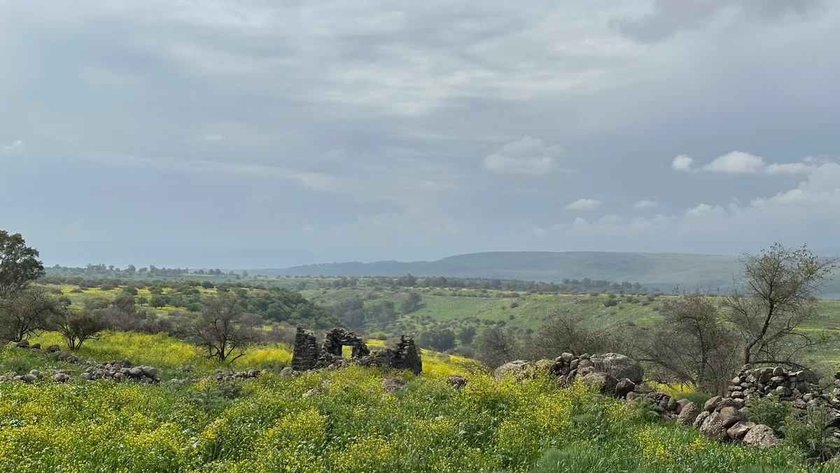 Ruins of a stone building among yellow wildflowers beneath a cloudy sky