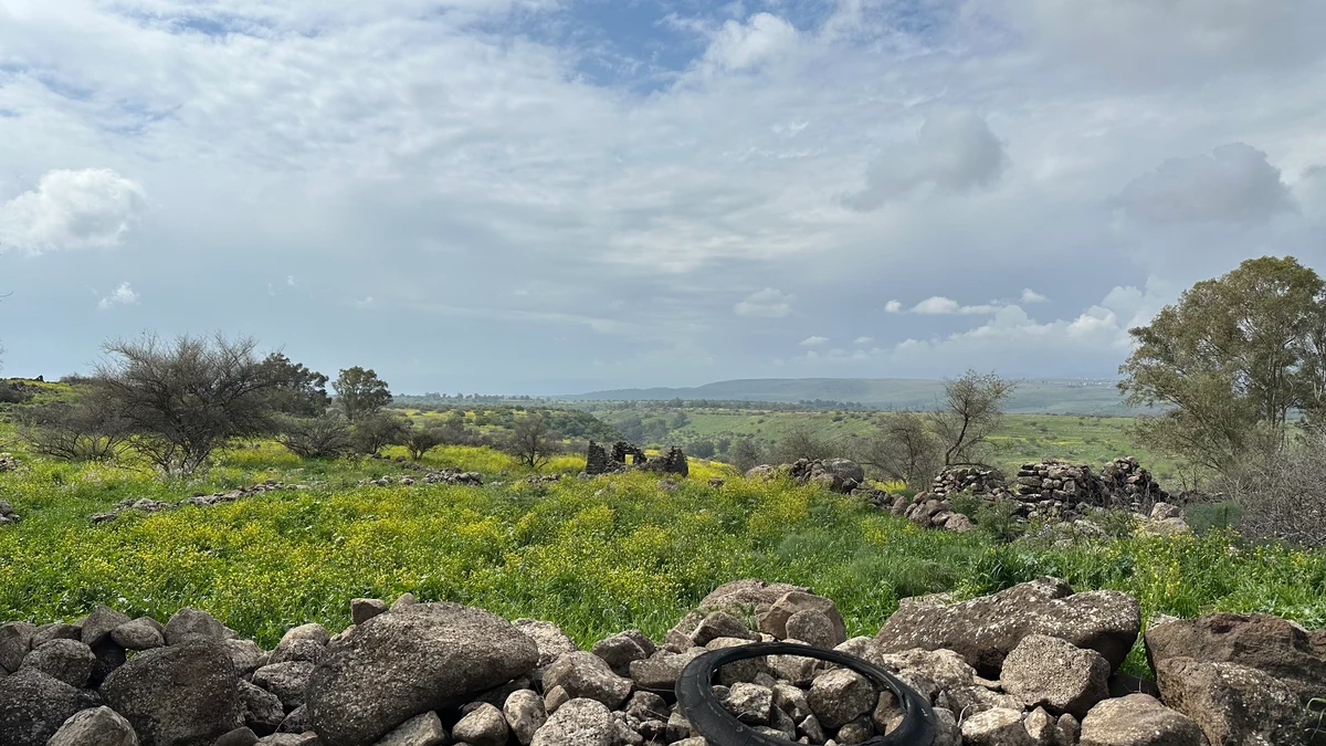 Wide green Golan landscape with stone ruins and yellow wildflowers