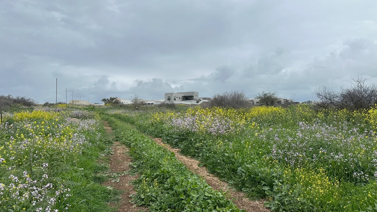 Flower-lined track leading toward modern homes beneath a cloudy sky